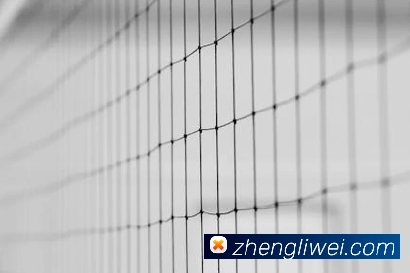 kaiyun官方网站服务体系